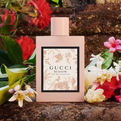 gucci bloom edp fragrance|gucci bloom fragrantica.